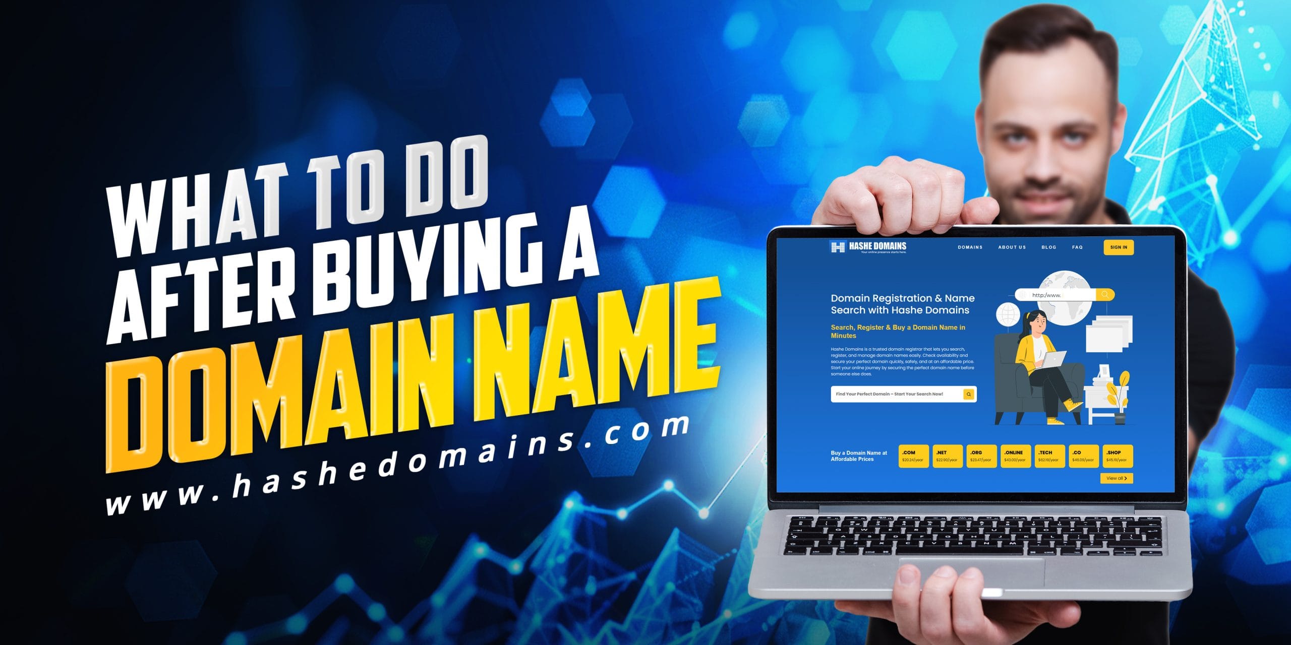 What to do after buying a domain name, beginner domain setup steps